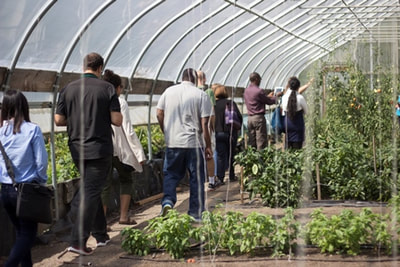 KFM 2015 conference participants at a greenhouse in Detroit, MI